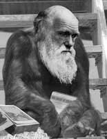Darwinisme
