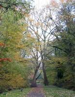 Ephmrides de novembre 