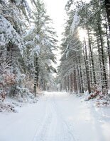 Un scientifique russe dcouvre le paradis au Ple Nord