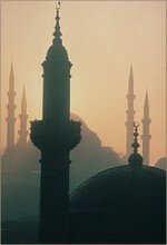 Les Al-Abash, un islam anti-salafiste