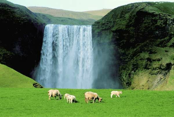 L'Islande va enterrer sa candidature  l'UE, sans rfrendum