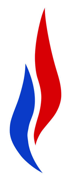 Municipales : le FN fait le pari des triangulaires