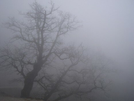 Les sondeurs dans le brouillard  moins de dix jours des municipales